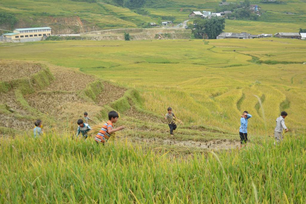 Cau May Homestay Sa Pa Exterior photo
